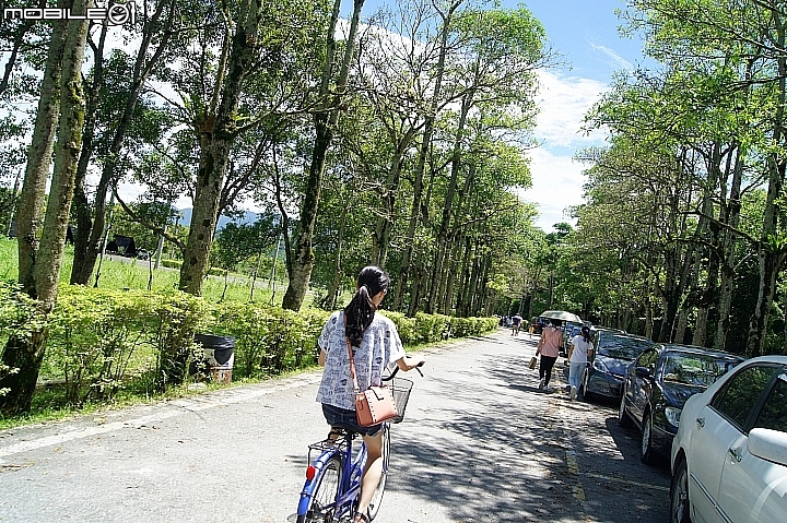 電車 光復糖廠 瑞穗牧場 六十石山金針花 北回歸線公園