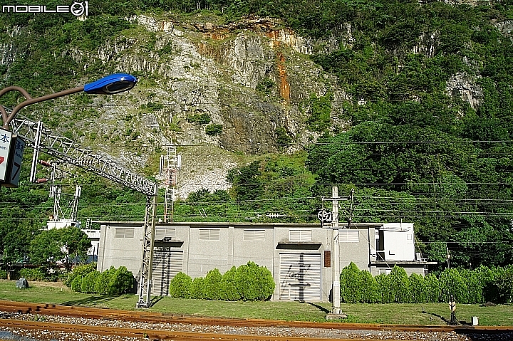 電車 光復糖廠 瑞穗牧場 六十石山金針花 北回歸線公園
