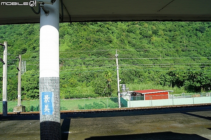 電車 光復糖廠 瑞穗牧場 六十石山金針花 北回歸線公園