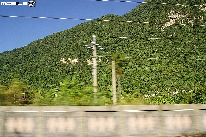 電車 光復糖廠 瑞穗牧場 六十石山金針花 北回歸線公園