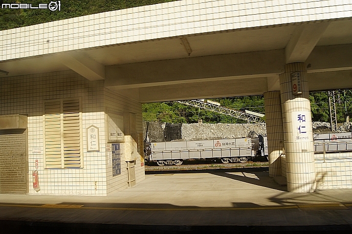 電車 光復糖廠 瑞穗牧場 六十石山金針花 北回歸線公園