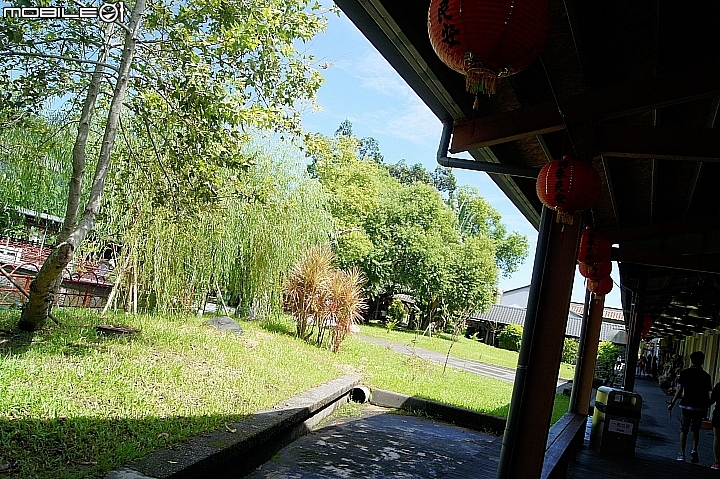 電車 光復糖廠 瑞穗牧場 六十石山金針花 北回歸線公園