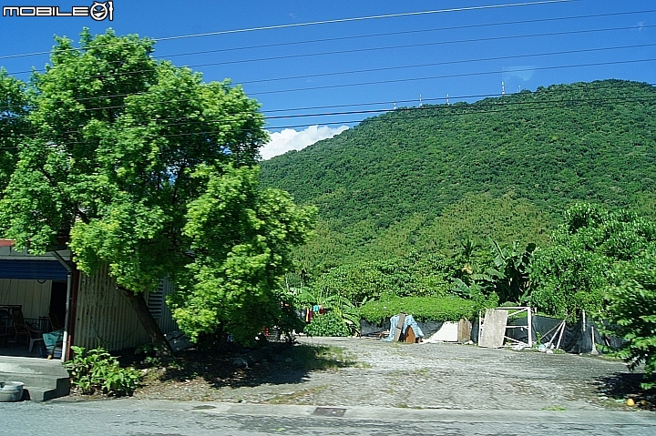 電車 光復糖廠 瑞穗牧場 六十石山金針花 北回歸線公園