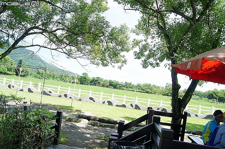 電車 光復糖廠 瑞穗牧場 六十石山金針花 北回歸線公園
