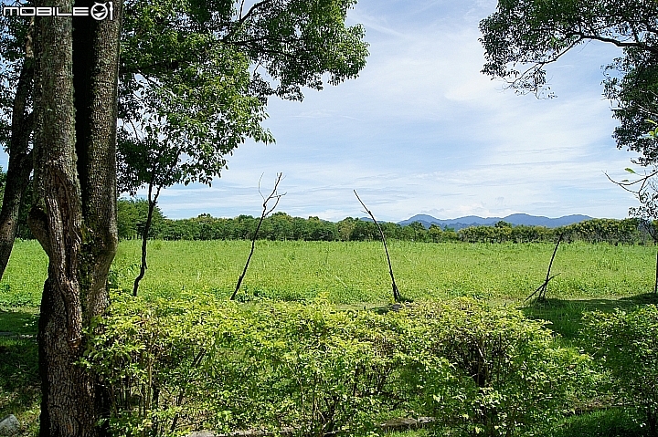 電車 光復糖廠 瑞穗牧場 六十石山金針花 北回歸線公園