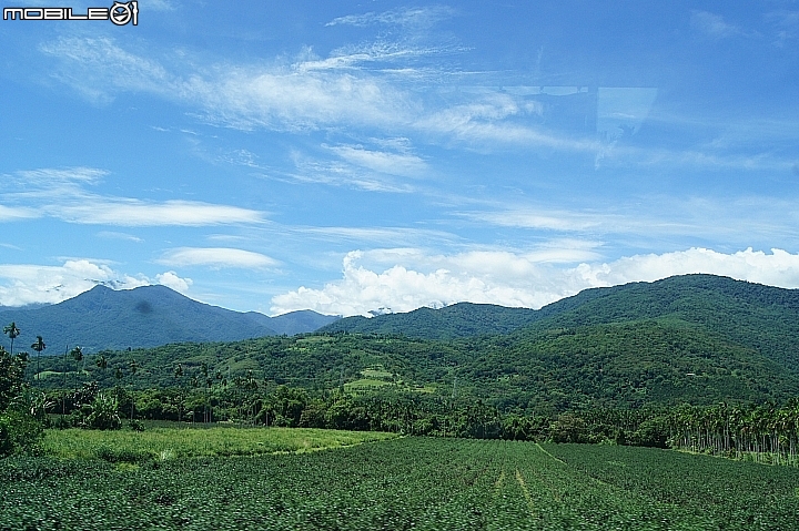 電車 光復糖廠 瑞穗牧場 六十石山金針花 北回歸線公園
