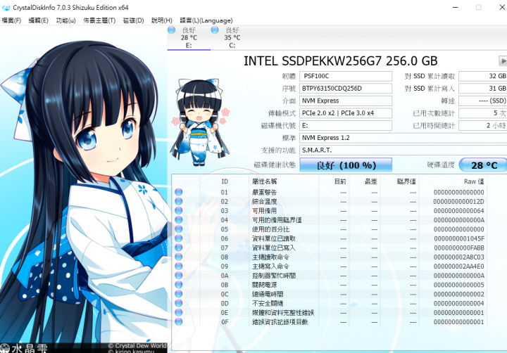 intel 600p 256g 這樣正常嗎..