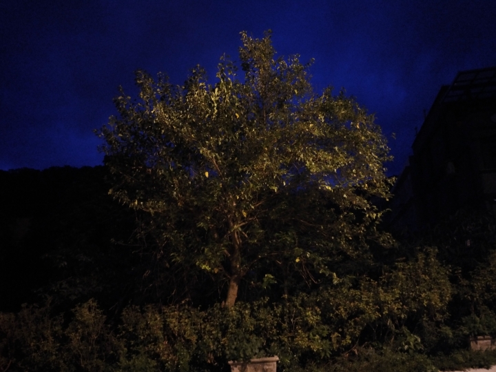 Z3D VS XP VS S7E 日夜拍照比較分享(圖多慎入)