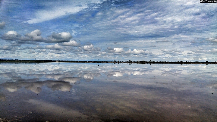 (第72批圖) LG G4 &G5&V10 日夜拍研究團 精選作品2016.9.14