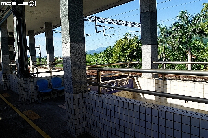 電車 光復糖廠 瑞穗牧場 六十石山金針花 北回歸線公園