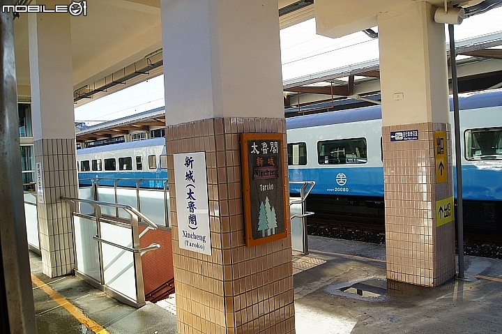 電車 光復糖廠 瑞穗牧場 六十石山金針花 北回歸線公園
