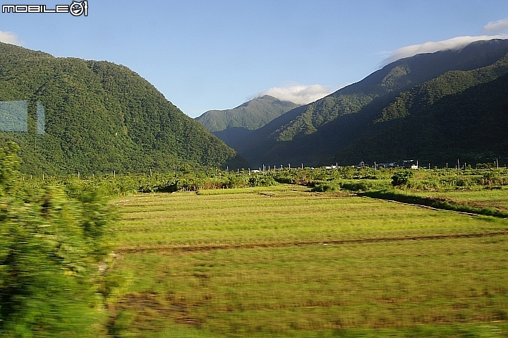 電車 光復糖廠 瑞穗牧場 六十石山金針花 北回歸線公園