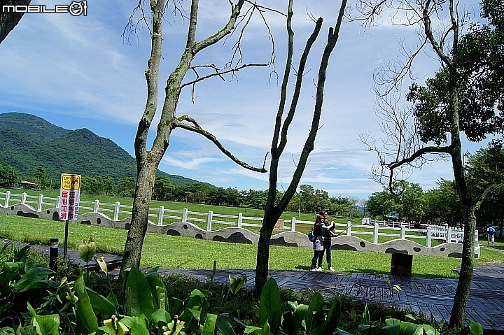 電車 光復糖廠 瑞穗牧場 六十石山金針花 北回歸線公園