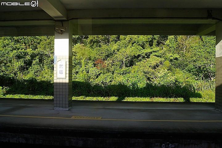 電車 光復糖廠 瑞穗牧場 六十石山金針花 北回歸線公園
