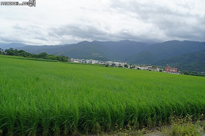 電車 光復糖廠 瑞穗牧場 六十石山金針花 北回歸線公園
