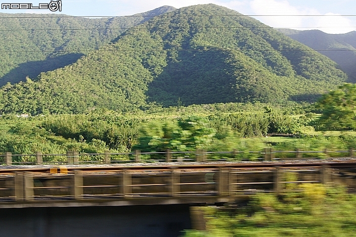 電車 光復糖廠 瑞穗牧場 六十石山金針花 北回歸線公園