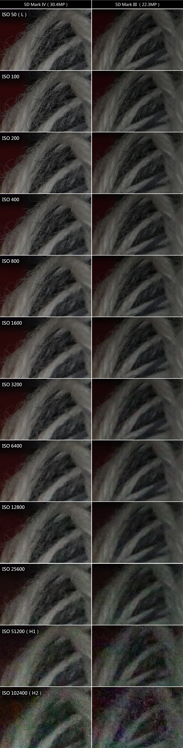 【搶先體驗】Canon EOS 5D Mark IV 大量實拍照與重點功能實測!