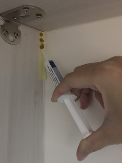 單身租房子,小強都怎麼處理比較好?