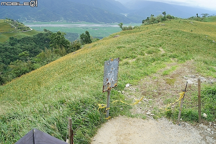電車 光復糖廠 瑞穗牧場 六十石山金針花 北回歸線公園