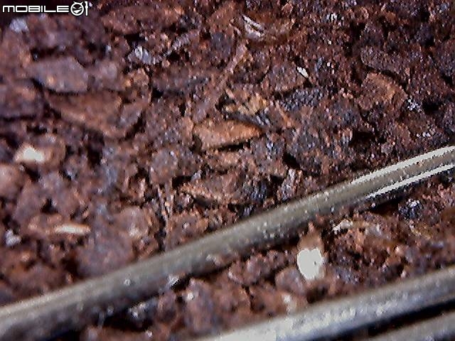 匿名二入手_測試狀況分享