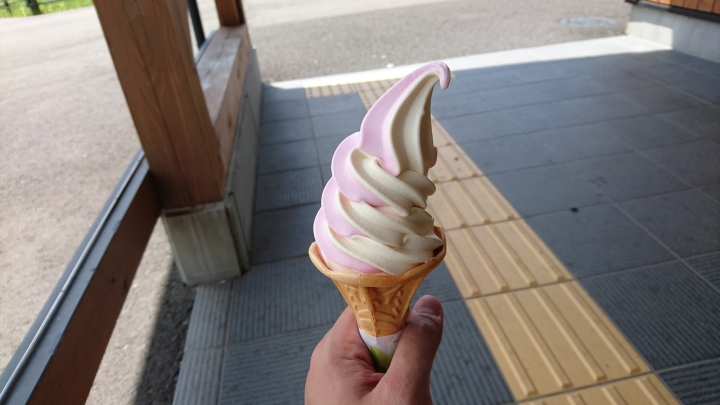 東日本戰國名城之旅 DAY 5 & 6 福島 栃木 茨城 千葉