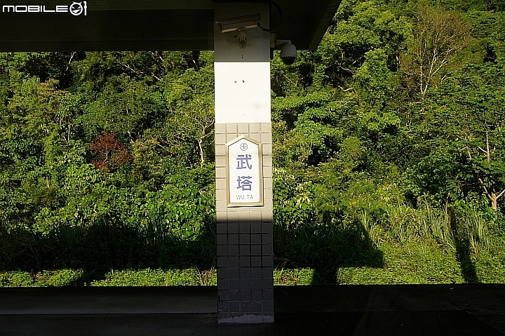 電車 光復糖廠 瑞穗牧場 六十石山金針花 北回歸線公園