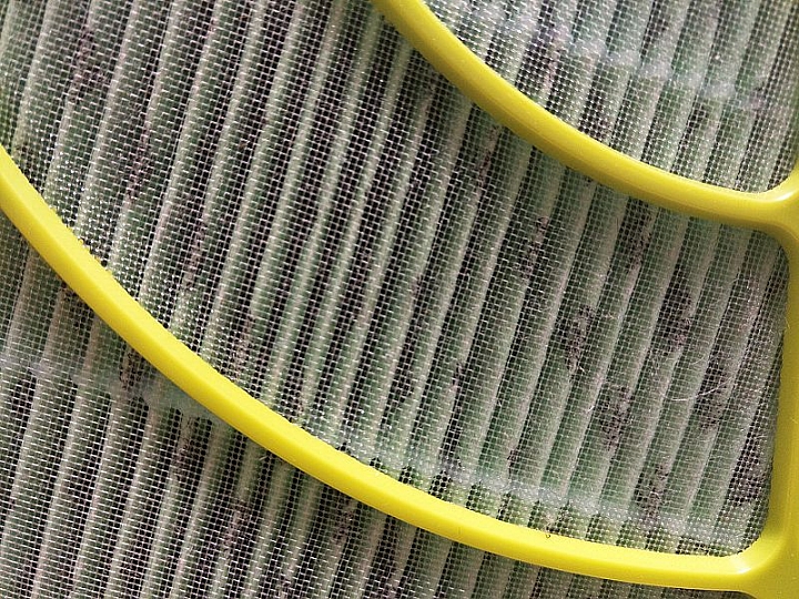 過敏鼻的黃金守護獸 LG空氣清淨機(大龍捲蝸牛)