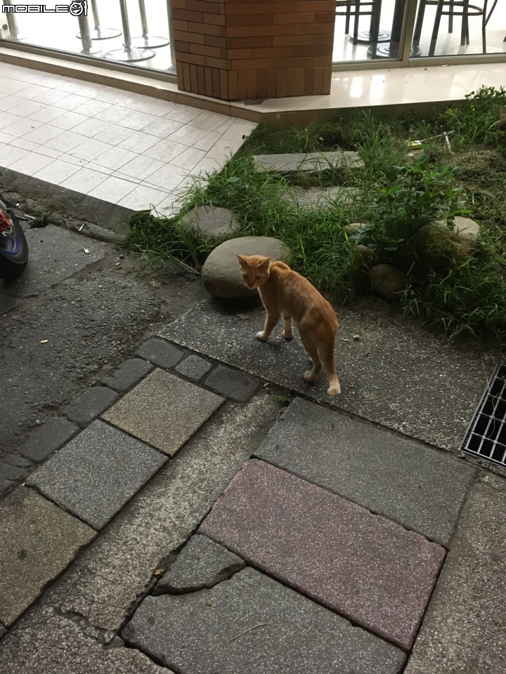 高雄←→武嶺一日來回