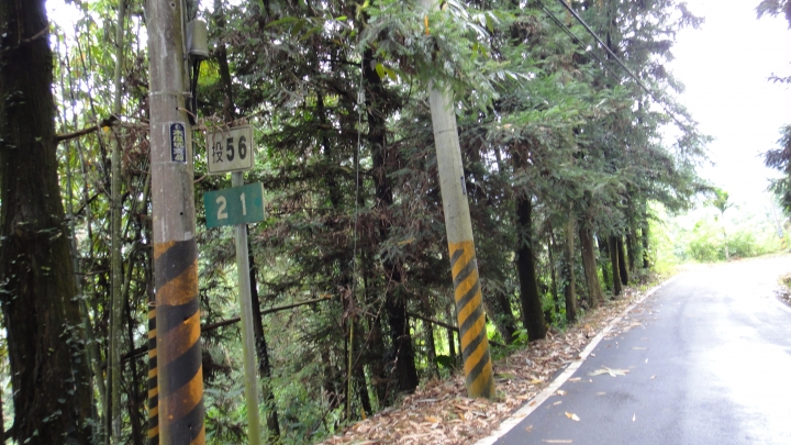 八通關古道從頭開始走(下)鄉道投56貫徹始終一條路走到底