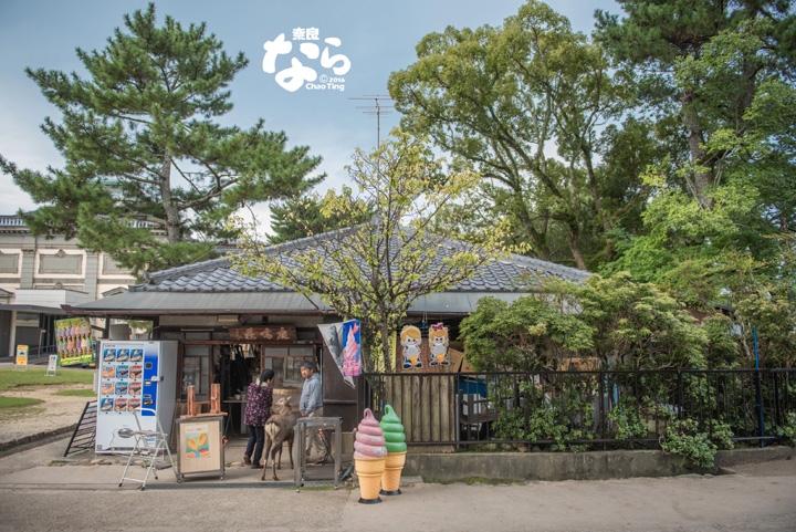 【D750+D700】奈京阪親子行(#圖多 #後製)