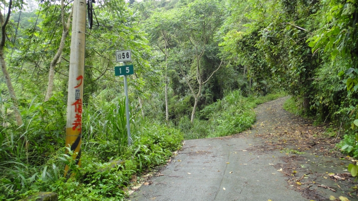 八通關古道從頭開始走(下)鄉道投56貫徹始終一條路走到底