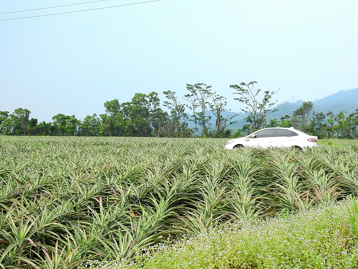 讓心靈放空的小山城:來義鄉丹林部落丹林渡假村