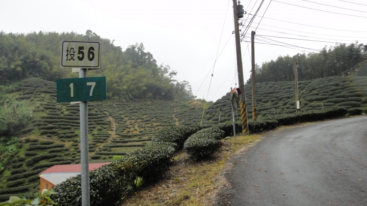 八通關古道從頭開始走(下)鄉道投56貫徹始終一條路走到底