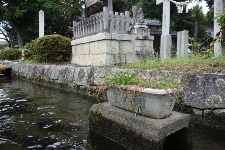 日本長篇,2016秋,滋賀環琵琶湖之旅,