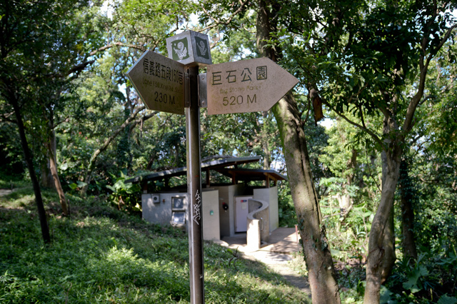 象山x台北101夜景:象山親山步道