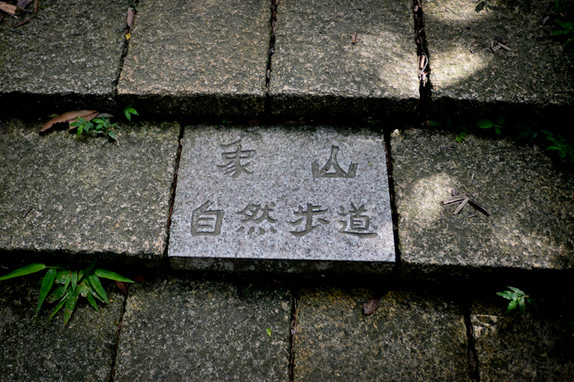 象山x台北101夜景:象山親山步道