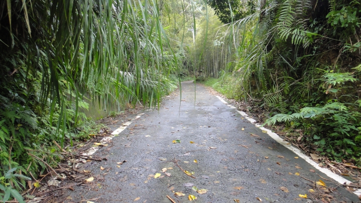 八通關古道從頭開始走(下)鄉道投56貫徹始終一條路走到底