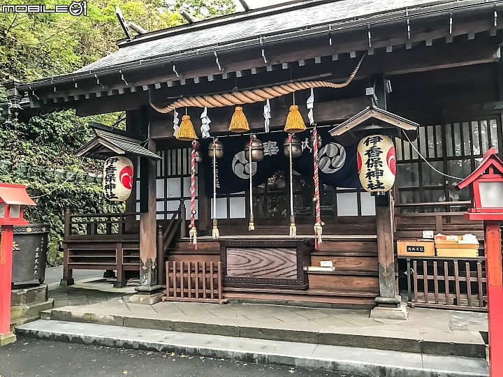 Suzuki MotoGP應援團開催!茂木站觀戰紀實
