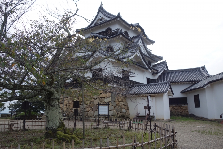 日本長篇,2016秋,滋賀環琵琶湖之旅,