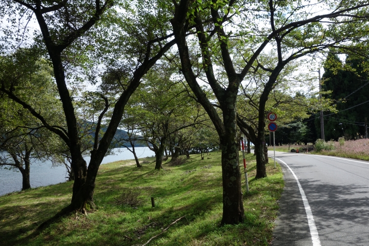 日本長篇,2016秋,滋賀環琵琶湖之旅,