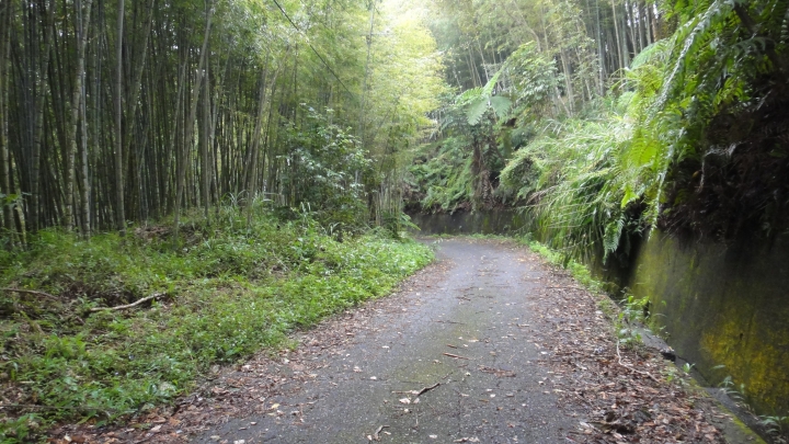 八通關古道從頭開始走(下)鄉道投56貫徹始終一條路走到底