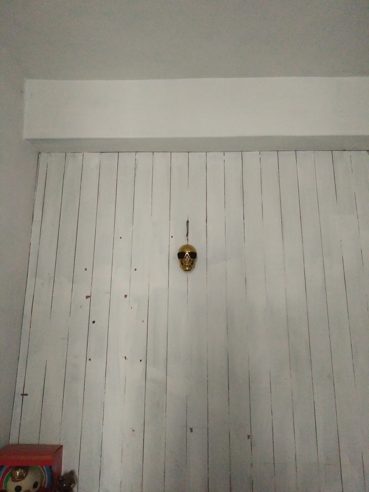 惡搞的藝術:AeroSkull XS開箱與心得