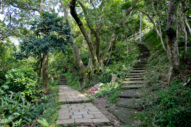 象山x台北101夜景:象山親山步道