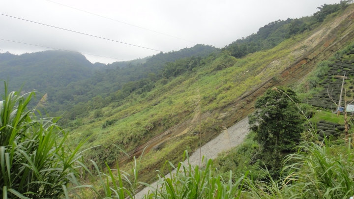 八通關古道從頭開始走(下)鄉道投56貫徹始終一條路走到底