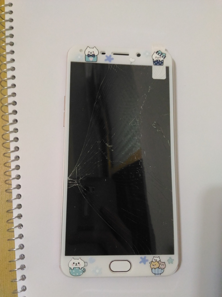 oppo r9 plus手機套&鋼化膜分享