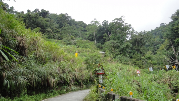 八通關古道從頭開始走(下)鄉道投56貫徹始終一條路走到底