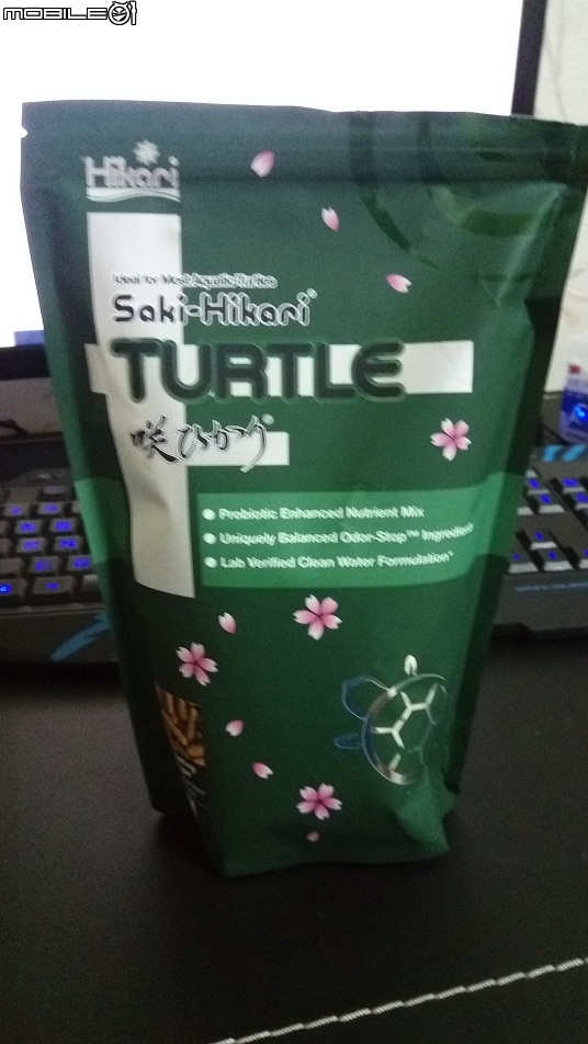 烏龜飼養生病疑問??