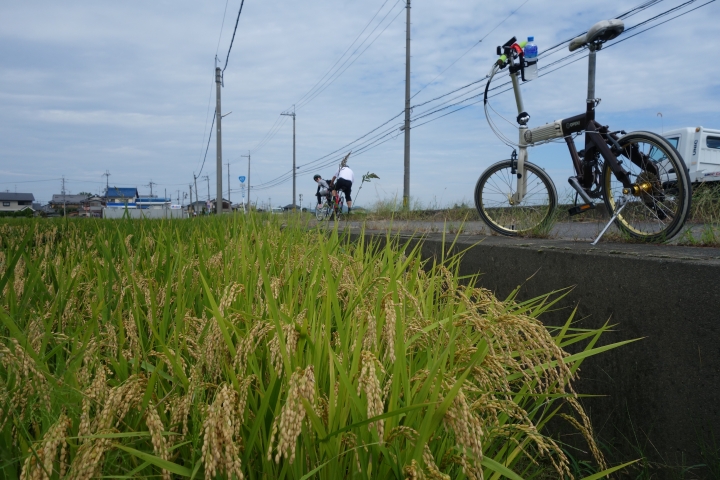 日本長篇,2016秋,滋賀環琵琶湖之旅,