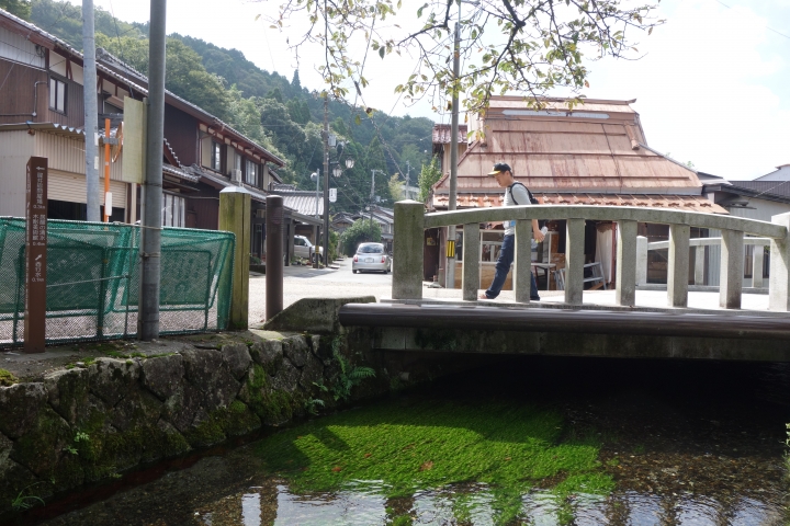 日本長篇,2016秋,滋賀環琵琶湖之旅,