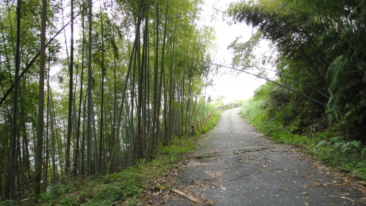 八通關古道從頭開始走(下)鄉道投56貫徹始終一條路走到底